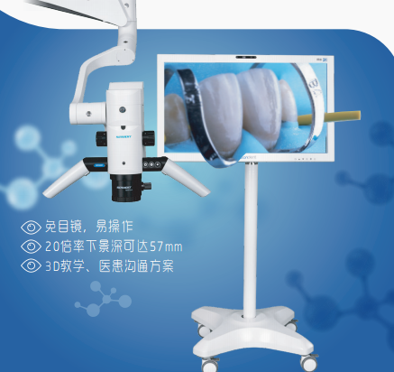 博恩裸眼3D